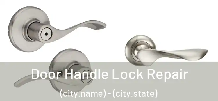 Door Handle Lock Repair (city.name) - (city.state)