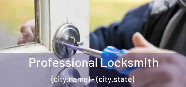Professional Locksmith (city.name) - (city.state)